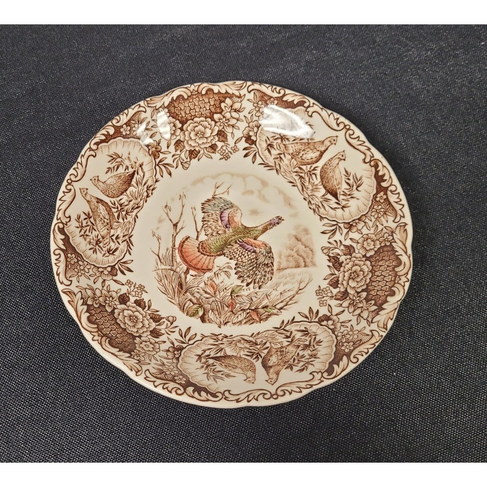 Wild Turkeys Windsor Ware Johnson Brothers Flat Cup & Saucer Set - Picture 3 of 11